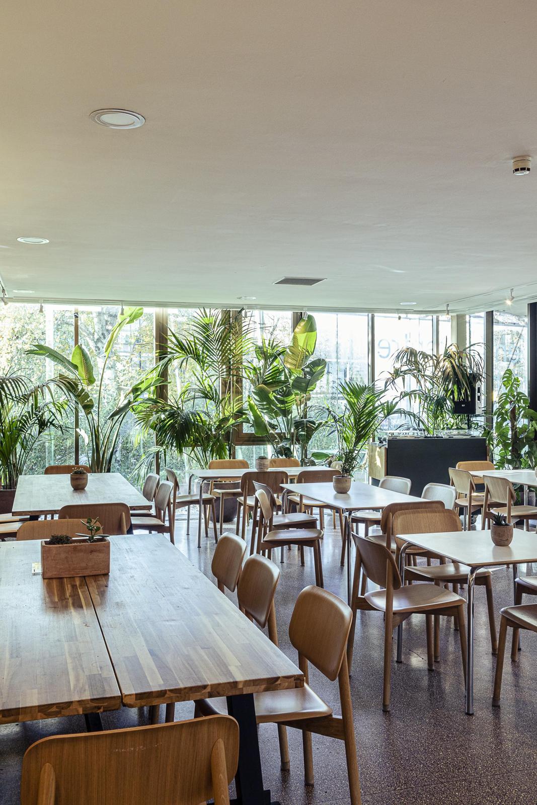 Cafe & Garden (New..)
