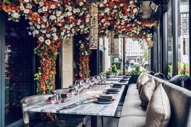 The White Rose Garden