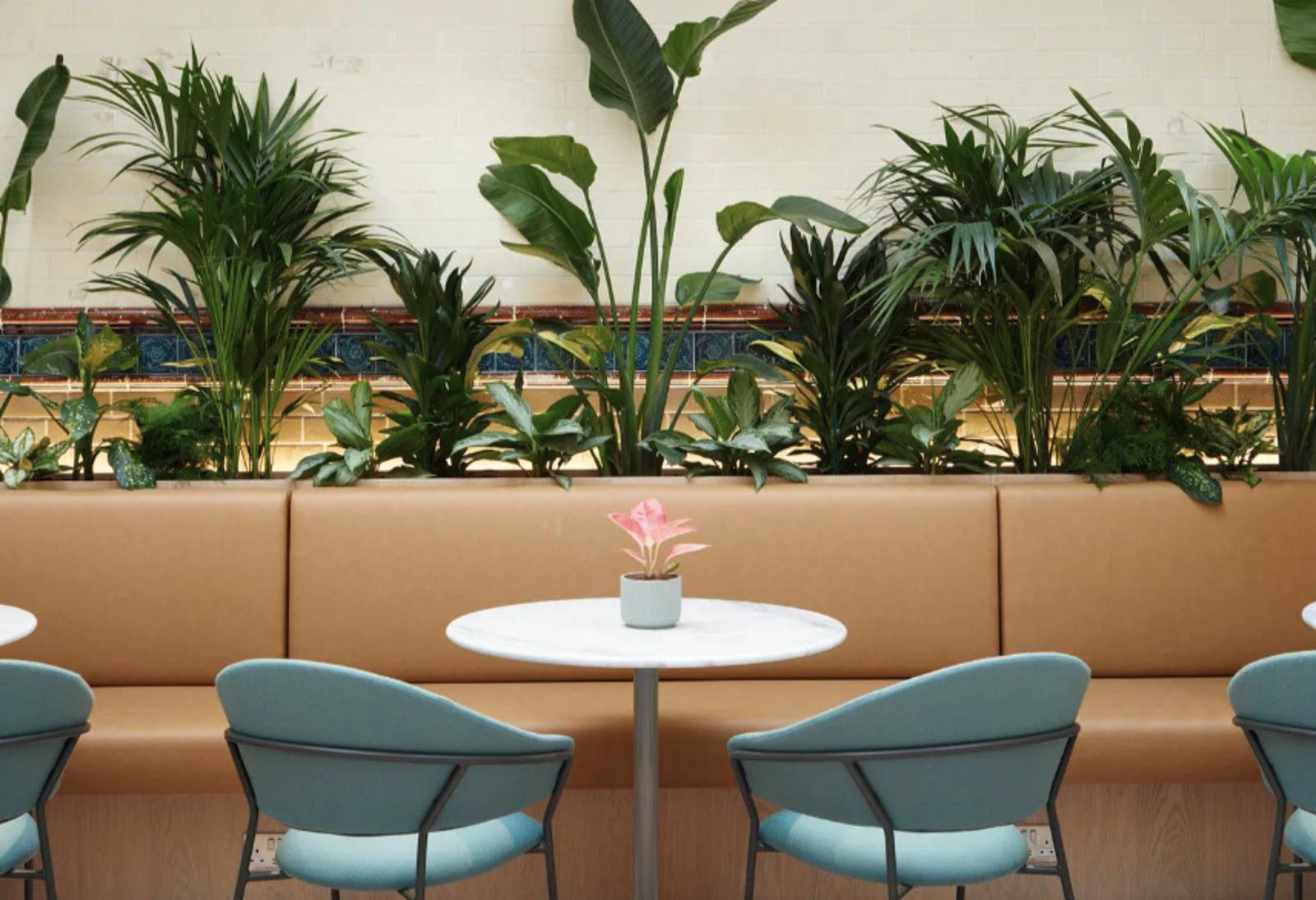 Fora - Greencoat Place