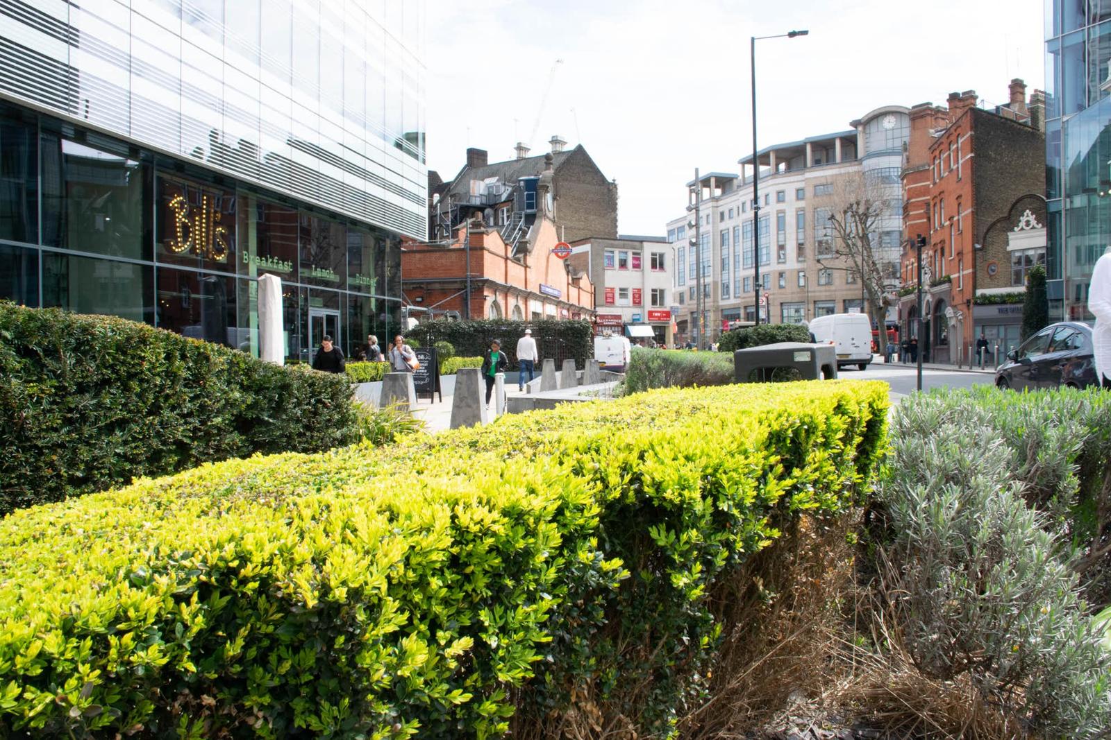 Shepherd's Bush Road