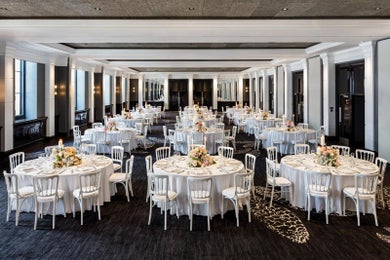 Halle Suite (New..)