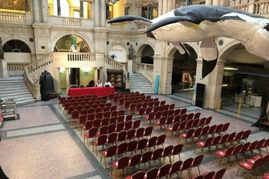 Winterstoke and Wills Hall