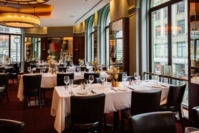 Angus Executive (New..)