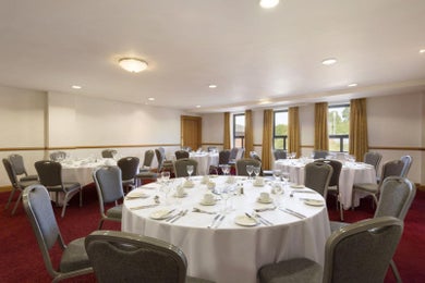 Hemlock/ Larch/ Birch