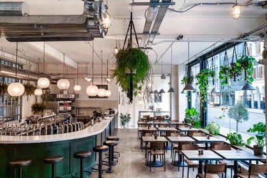 The Whole Venue (New..)