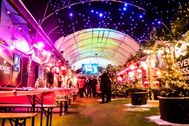 Nordic Winter Garden (New..)