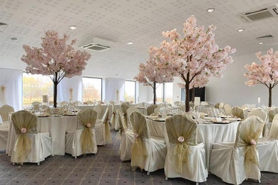 Virage Suite (New..)