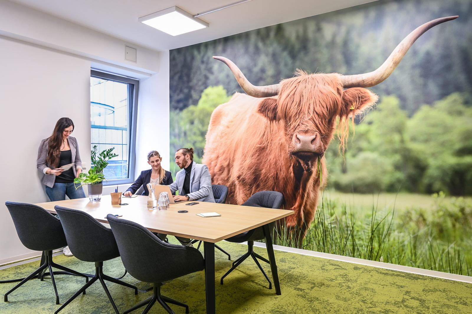 Meeting Room "Kyloe"