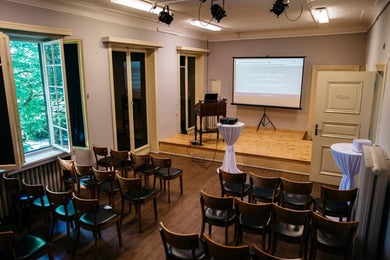 Theatre room - circus Mignon