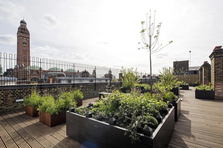 Roof Garden