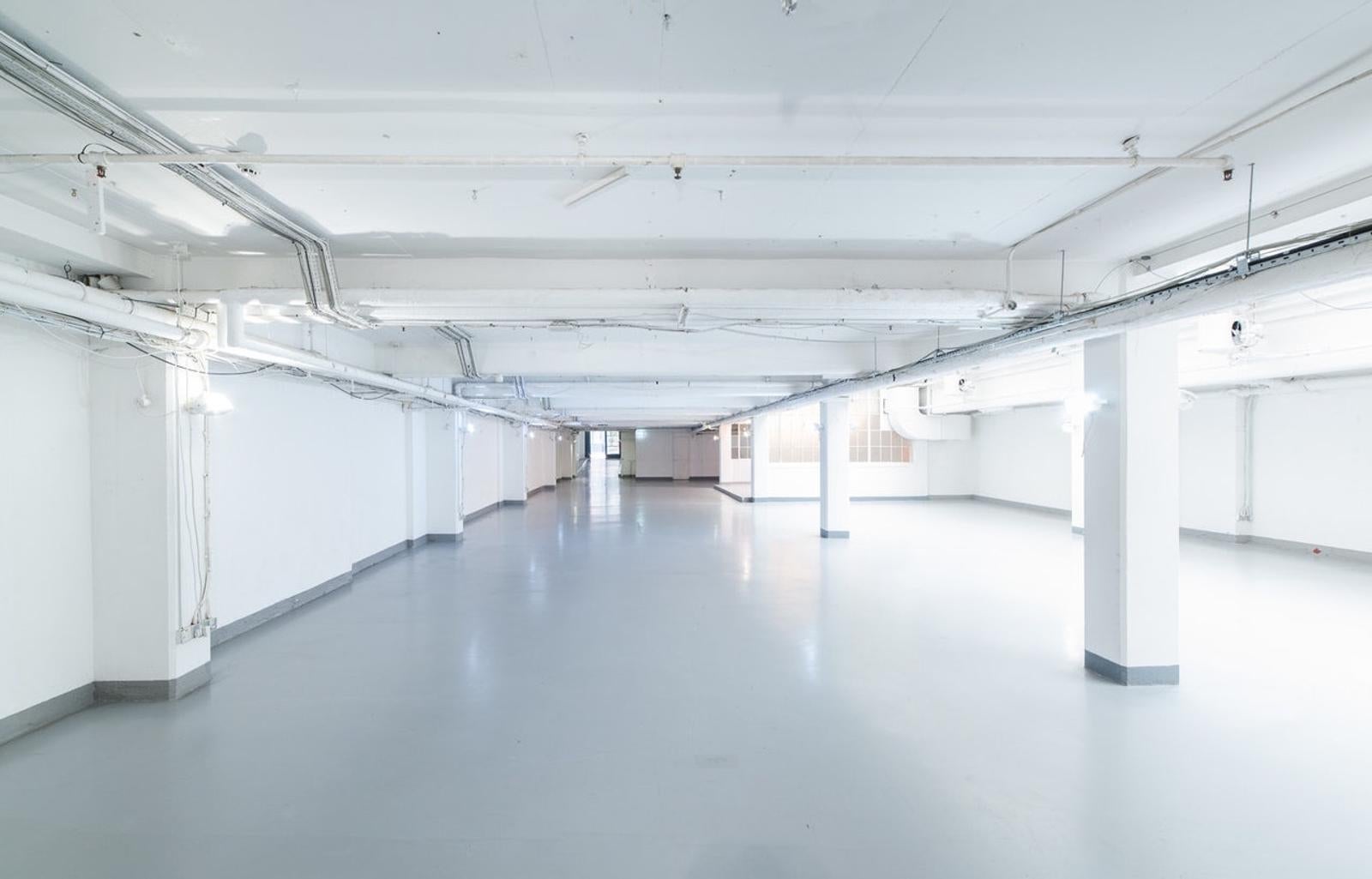 Whole Venue