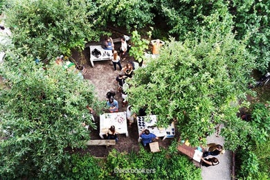 Agora Collective